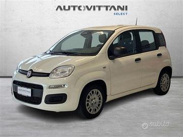 FIAT Panda Pandina 1.0 FireFly Hybrid 65cv Icon