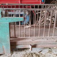 bascula pesa animali