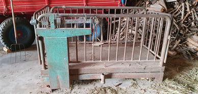 bascula pesa animali