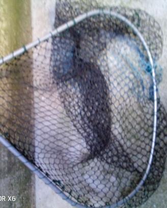Guadini da pesca per grossi pesci.