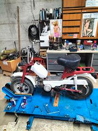 Benelli motorella 50