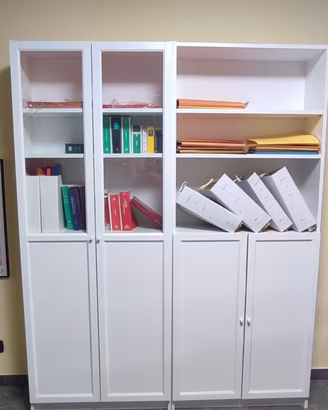 Libreria con pannello a vetrina IKEA BILLY OXBERG