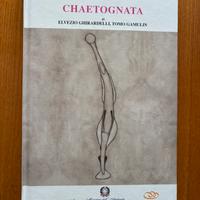 volume Fauna d'Italia - Chaetognatha