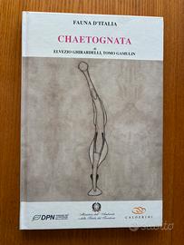 volume Fauna d'Italia - Chaetognatha