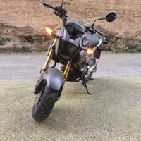 Honda Monkey 125 - 2019