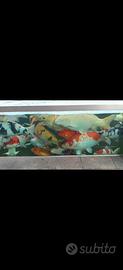 Carpe koi