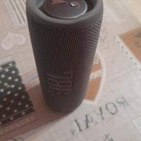 JBL flip 6