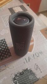 JBL flip 6