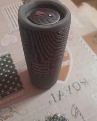 JBL flip 6