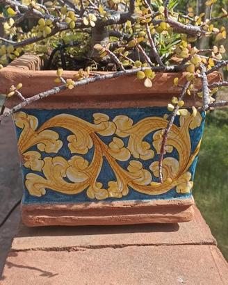 Vasi in Terra cotta