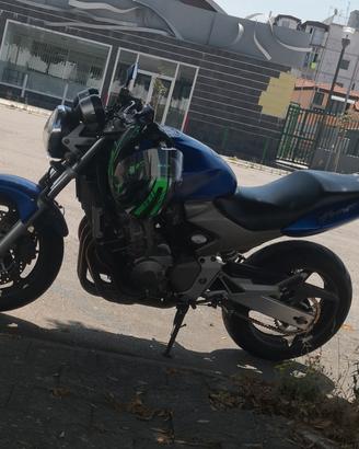 Hornet 600 