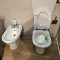 coppia sanitari Cesame modello Sintesi