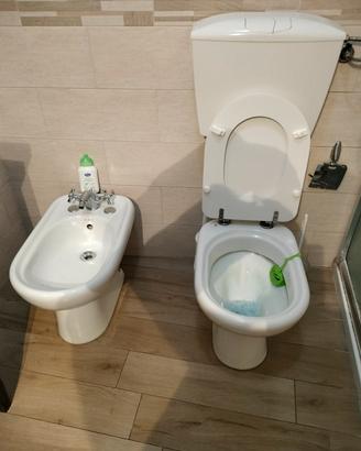 coppia sanitari Cesame modello Sintesi