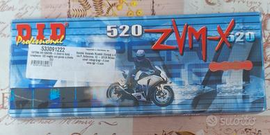 Catena  DID Professional 520 ZVM-X
