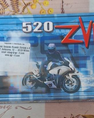 Catena  DID Professional 520 ZVM-X