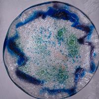 Piatto in Vetrofusione artistica