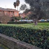 Appartamento fiera di roma aeroporto fiumicino