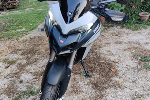 Ducati Multistrada 950s