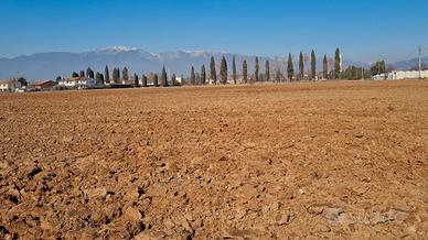 Vendita lotto agricolo da privato