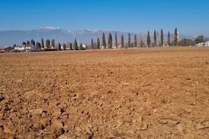 Vendita lotto agricolo da privato