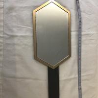 Specchio Roberto Cavalli