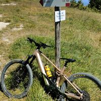 EBike Orbea Wild H10