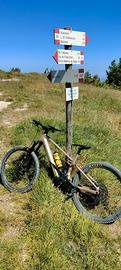 EBike Orbea Wild H10