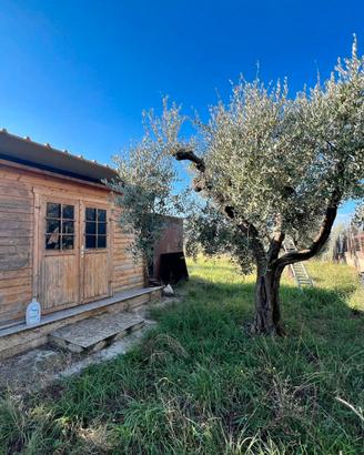 GALLICANO NEL LAZIO TERRENO AGRICOLO ADIACENTE PAE