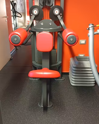 Lateral Deltoid in perfette condizioni