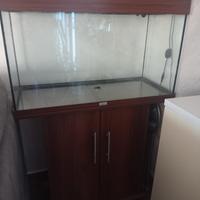 acquario rio 125 completo 