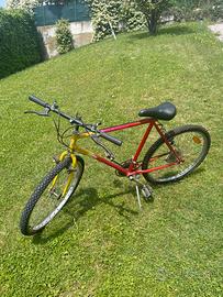Bicicletta