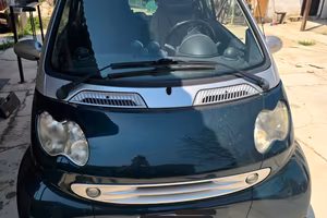 Smart fortwo diesel