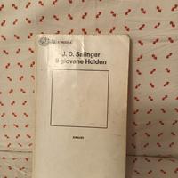 libro: il giovane holden