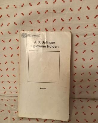 libro: il giovane holden