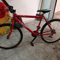 2 bici 26 in buono stato 