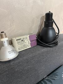 Solar raptor ballast lampada rettili
