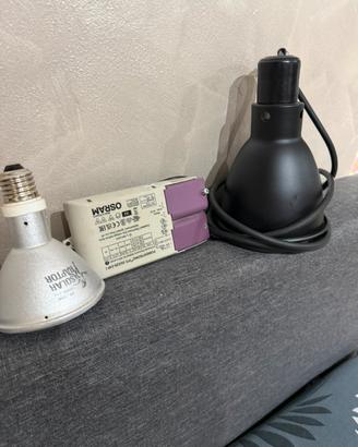 Solar raptor ballast lampada rettili