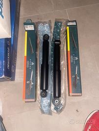 Coppia ammortizzatori posteriori panda 169