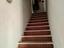 Immagine 8