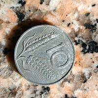 moneta 10 lire  rara 