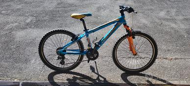 MTB ragazzo da 24"