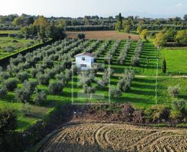 Terreno Edificabile - Manerba del Garda