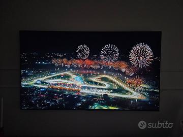 LG OLED G2 55'' Gallery + Scatola e Garanzia