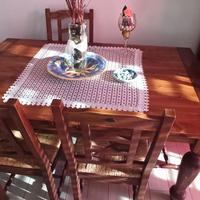 Tavolo in legno arte povera