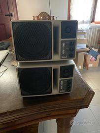 Sistema Enchore AN100 con microfono S/F