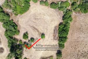 Terreno Agricolo Teggia e Sambene
