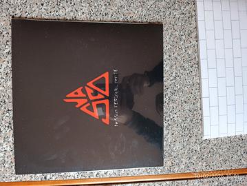 Vinile Vasco Rossi Nessun pericolo per te 