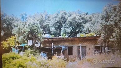 10000 mq di terreno con fabbricato