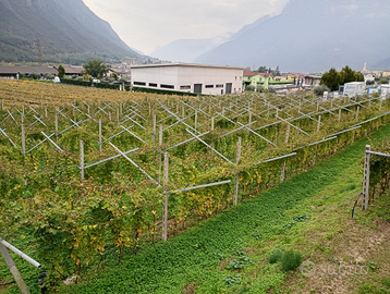 Terreno artigianale produttivo