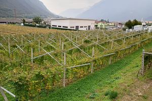 Terreno artigianale produttivo